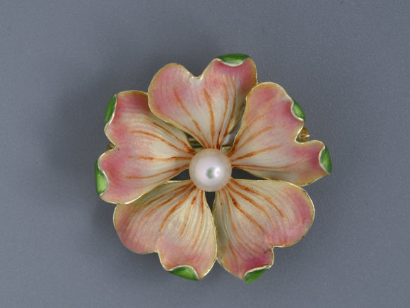 24008 - Art Nouveau Gold Pearl Enamel Circle Primrose Flower Pin