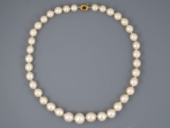 43569 - Gold Ruby Sapphire South Sea Pearl Necklace