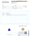 45434 - Tiffany Platinum GIA Sapphire Diamond Pear Shape Cluster Pendant Necklace