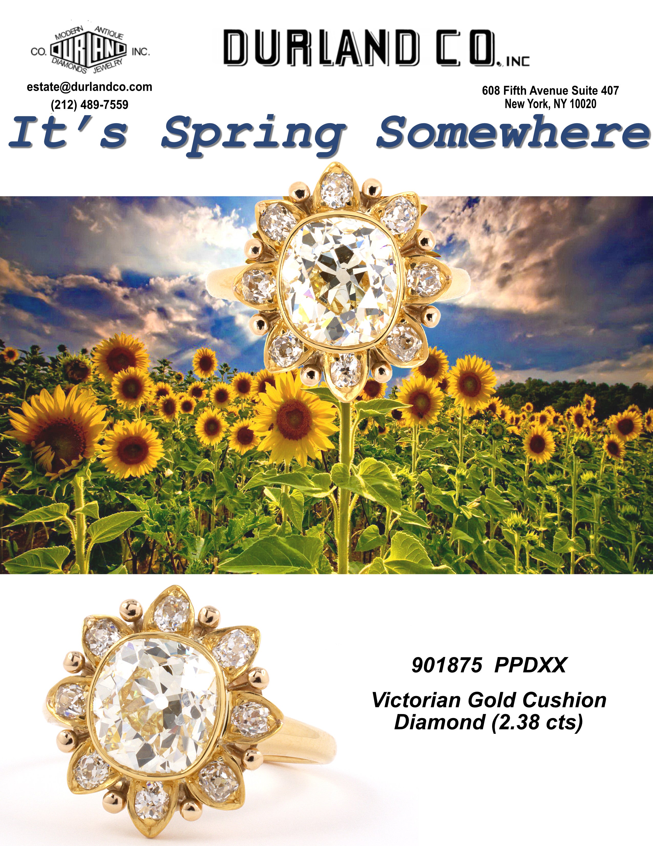 It's Spring Somewhere – Durland Co