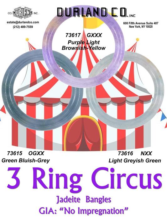 3 Ring Circus