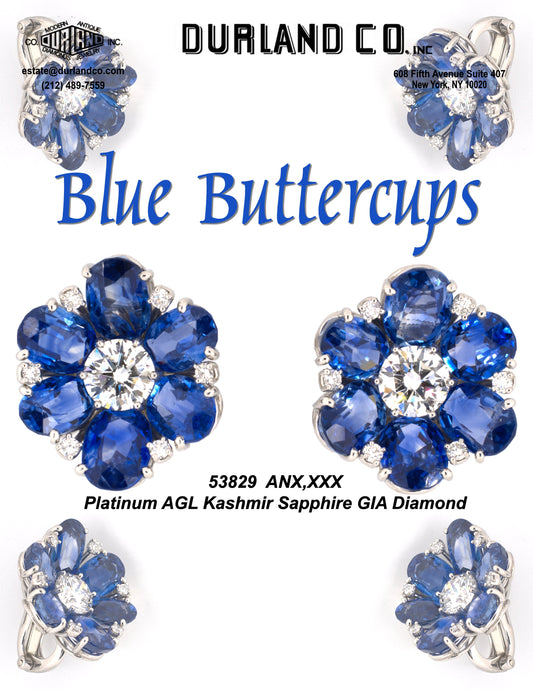 Blue Buttercups
