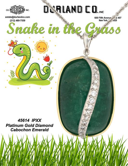 Snake in the Grass