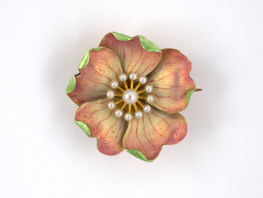 24025 - SOLD - Art Nouveau Cresarrow Gold Pearl Enamel Flower Pin