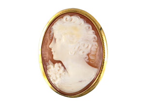 24255 - Circa 1950s Gold Silver Shell Cameo Pendant Pin