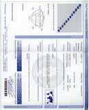 53829 - Cerro Platinum AGL Kashmir Sapphire GIA Diamond Cluster Floral Earrings