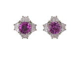 54212 - SOLD - Platinum Pink Sapphire Diamond Cluster Stud Earrings