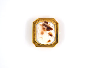 21589 - Gold Victorian Stone Cameo Framed Pin