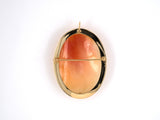 23903 - Circa 1950 Gold Shell Cameo Pin Pendant