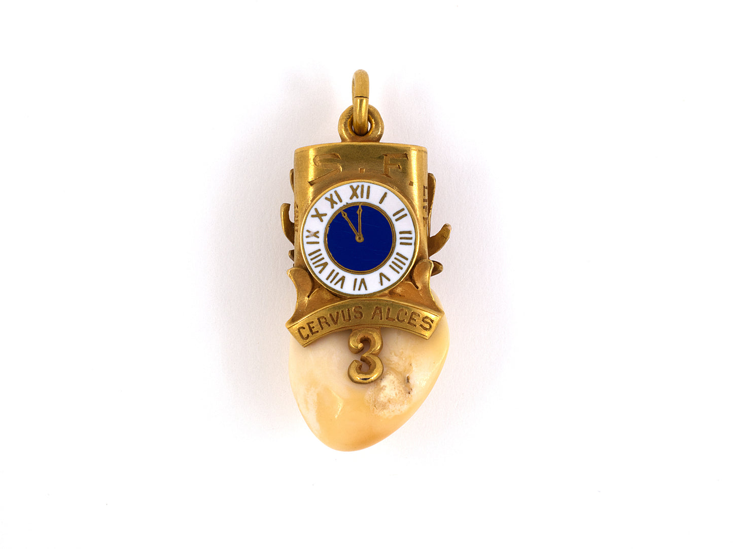 45187 - Circa 1897 Victorian Gold Carved Elk Tooth Enamel BPOE Pendant