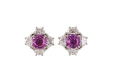 54211 - Platinum Pink Sapphire Diamond Cluster Stud Earrings